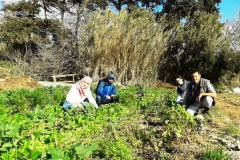 agriculture