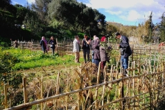 formation-ouled-fayet