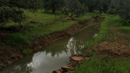 Baissières pour retenir les eaux en montagne