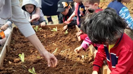 Les enfants à la découverte du potager ! الأطفال يكتشفون حديقة الخضر الشبه حضرية