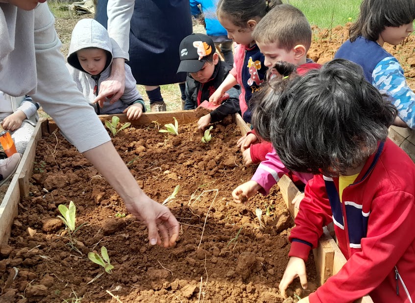 Les enfants à la découverte du potager ! الأطفال يكتشفون حديقة الخضر الشبه حضرية