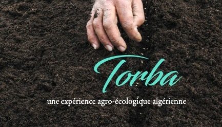 Le livre sur le Collectif Torba est paru !