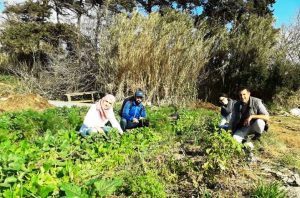 Teaser Du Jardin Partagé à la Solidarité paysanne en Algérie