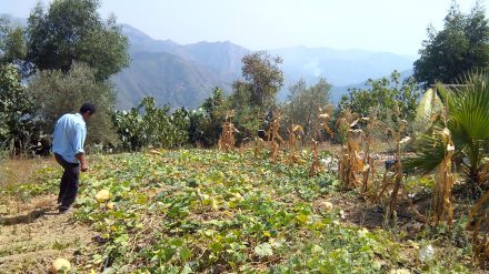 Formation/Visite d’une ferme agrotouristique à Sidi Serhane