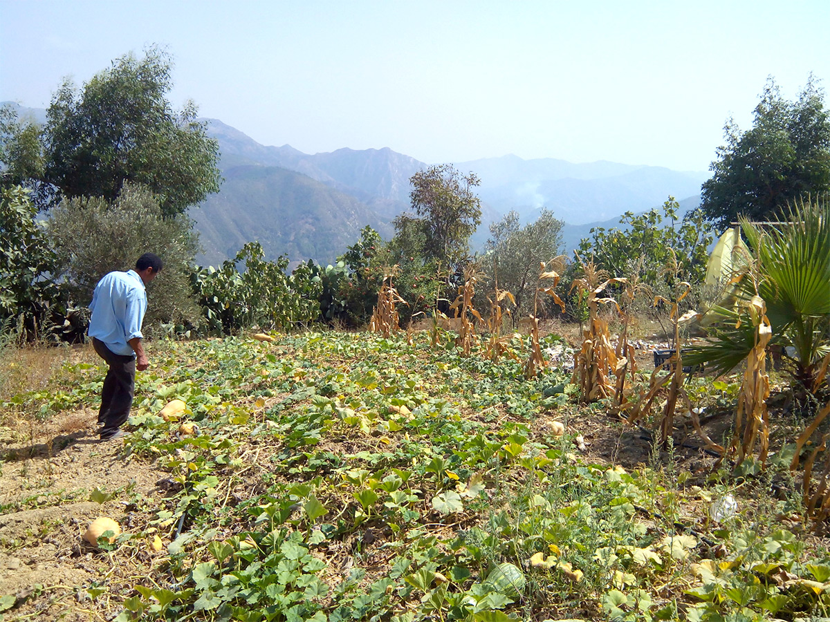 Formation/Visite d’une ferme agrotouristique à Sidi Serhane