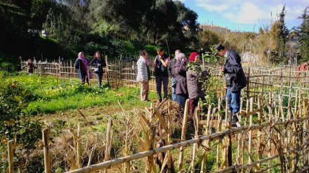 تدريب على التسميد الحضري في أولاد فايت