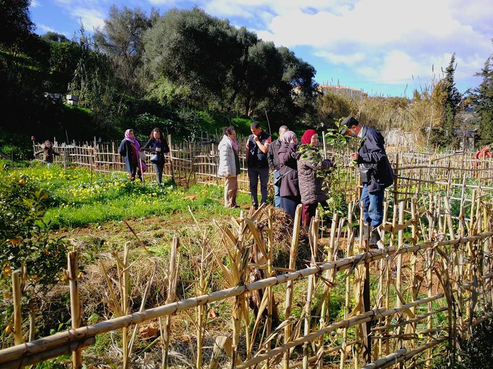 Formation au compostage urbain à Ouled fayet