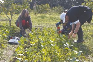 L'Agroécologie fait des émules en Algérie - Reportage