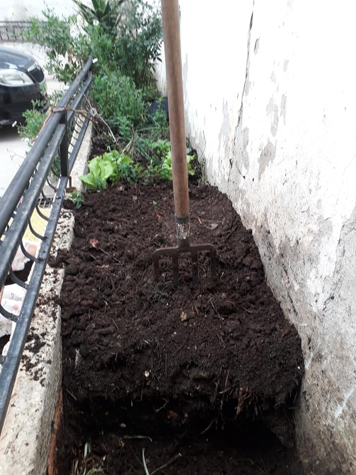 Jardins partagés en zone péri-urbaine d’Alger