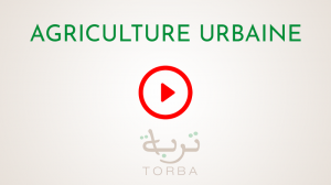 Vidéos Agriculture urbaine