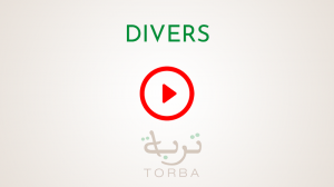 Vidéos Divers