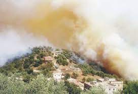 Accompagnement des vergers de montagnes touchées par les incendies