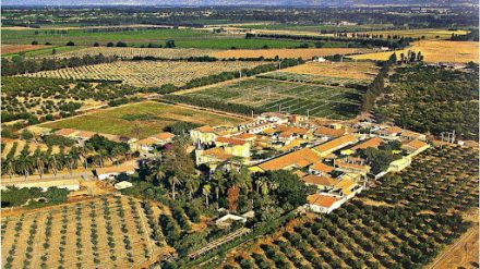 Pratiques agroécologiques dans la Mitidja