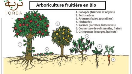 Formations en agroforesterie