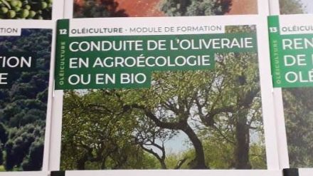 Référentiel sur la conduite de l’oliveraie en agroécologie, en Algérie