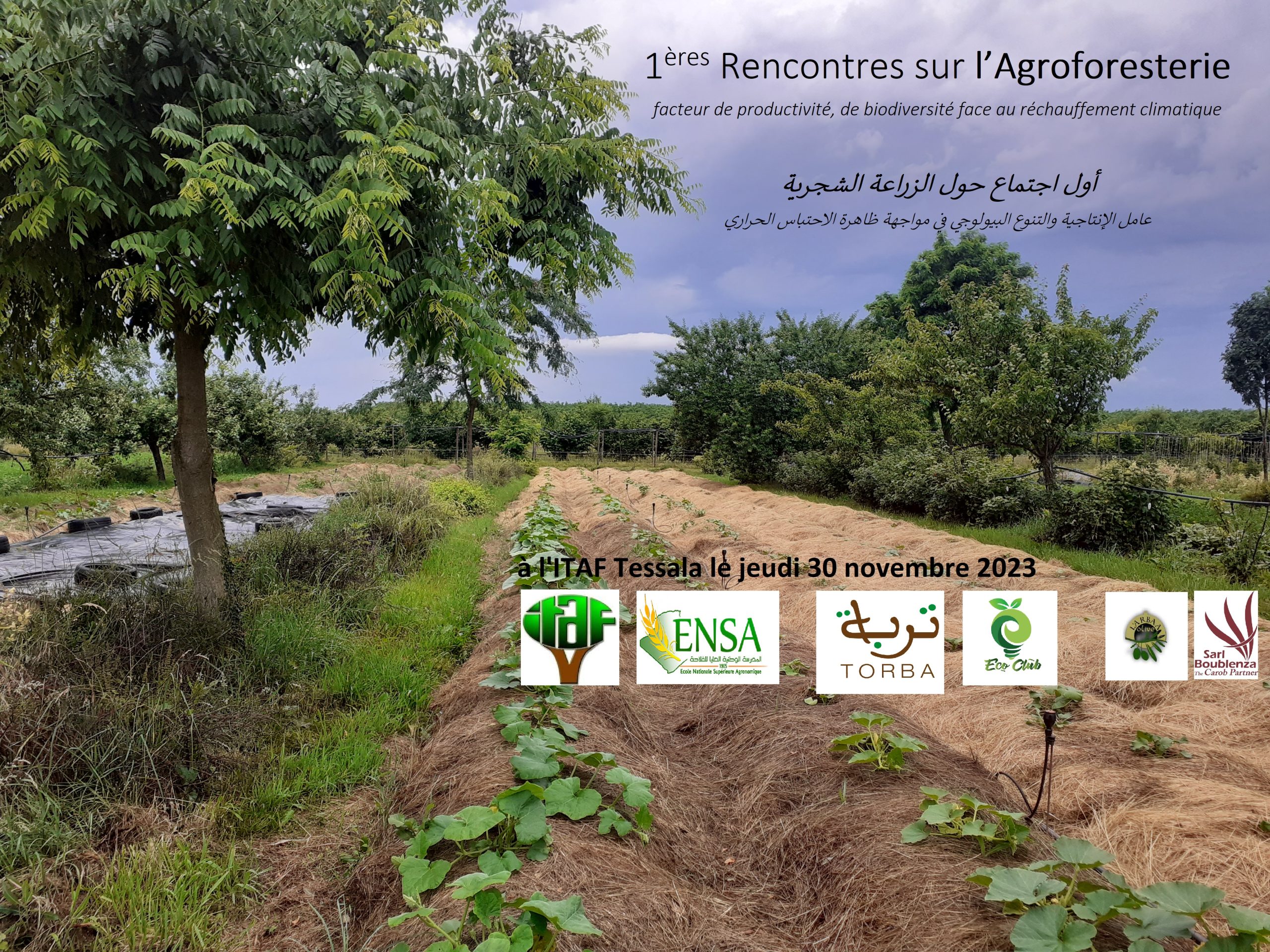 Journée sur l’Agroforesterie