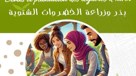 Formations de l’année 2024 / 25